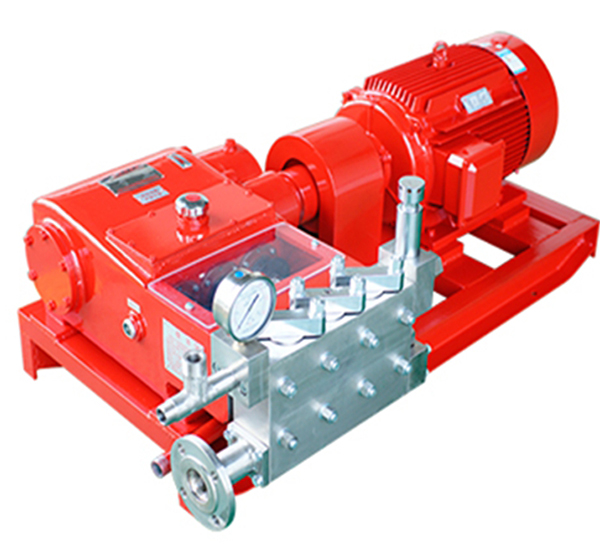 Reciprocating plunger pump